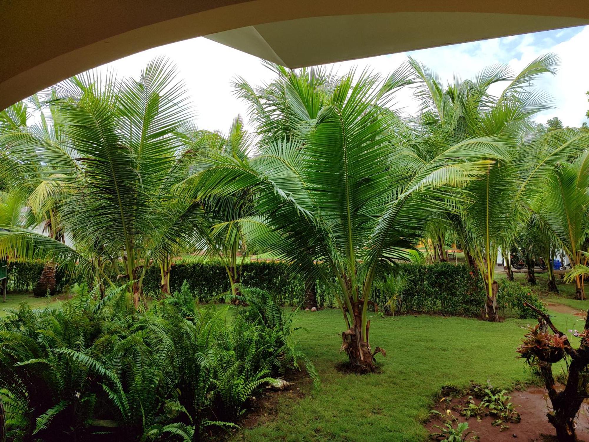 E&N Paradise Island Resort Siquijor Zewnętrze zdjęcie