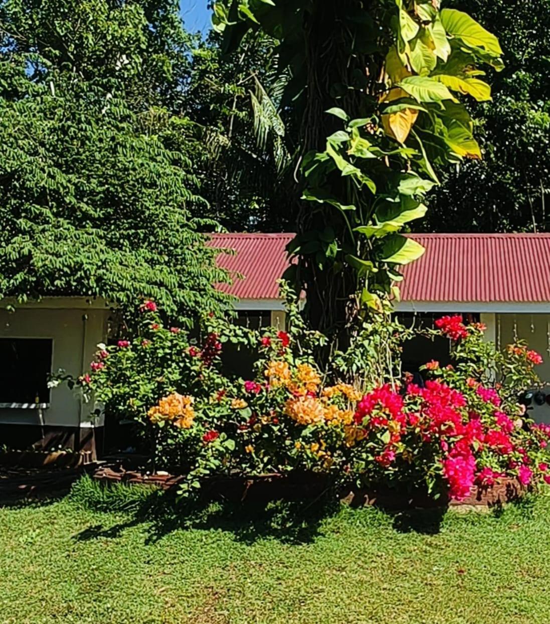 E&N Paradise Island Resort Siquijor Zewnętrze zdjęcie